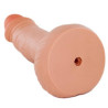 Generique Tirelire Pénis 23cm